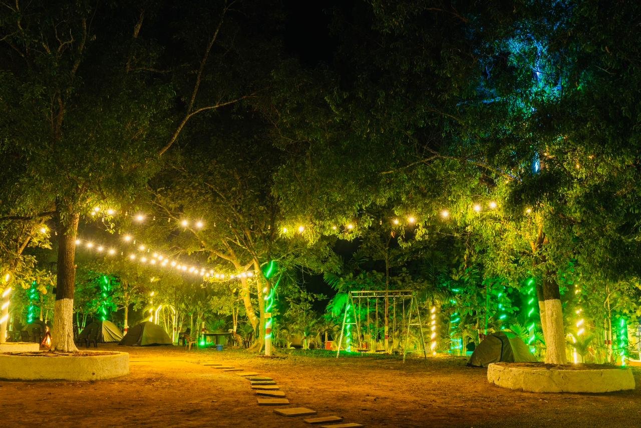 Dandeli Wild jungle resort