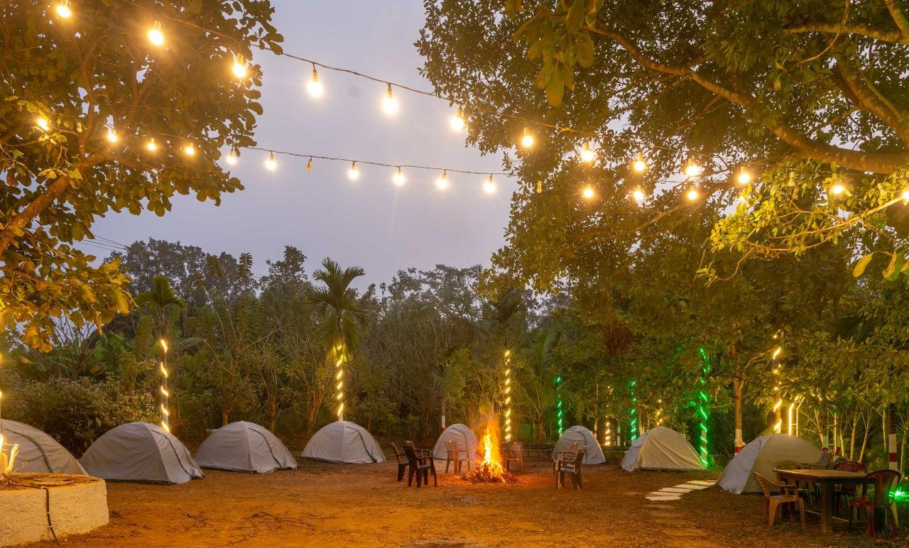 Dandeli Wild jungle resort